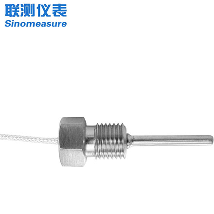 聯測-SIN-WZP帶螺紋熱電阻/熱電偶